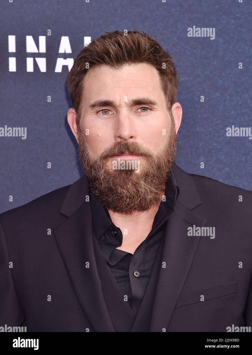 The terminal list gulucorps