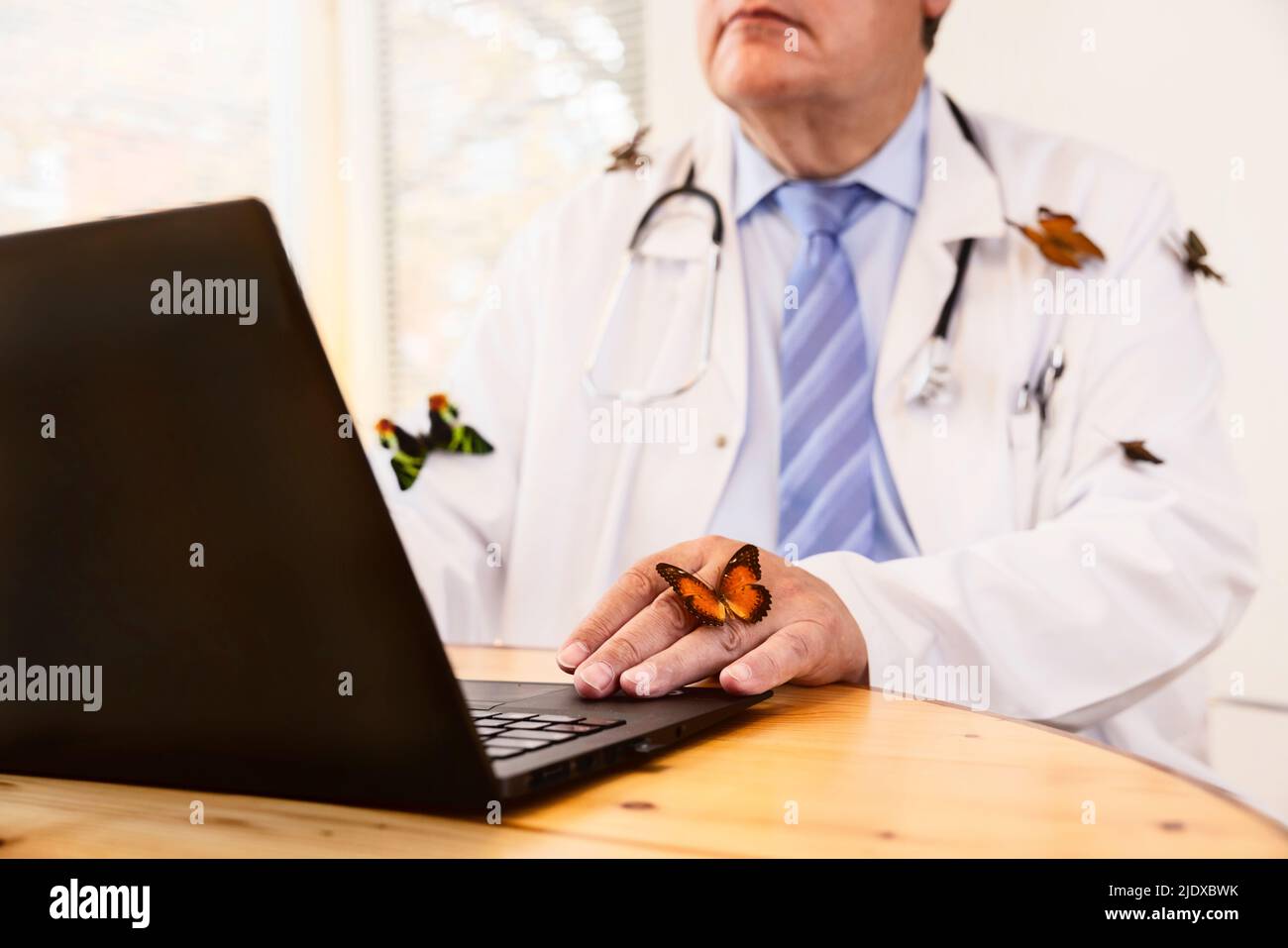 Butterflies on senior doctor using laptop at desk Stock Photo