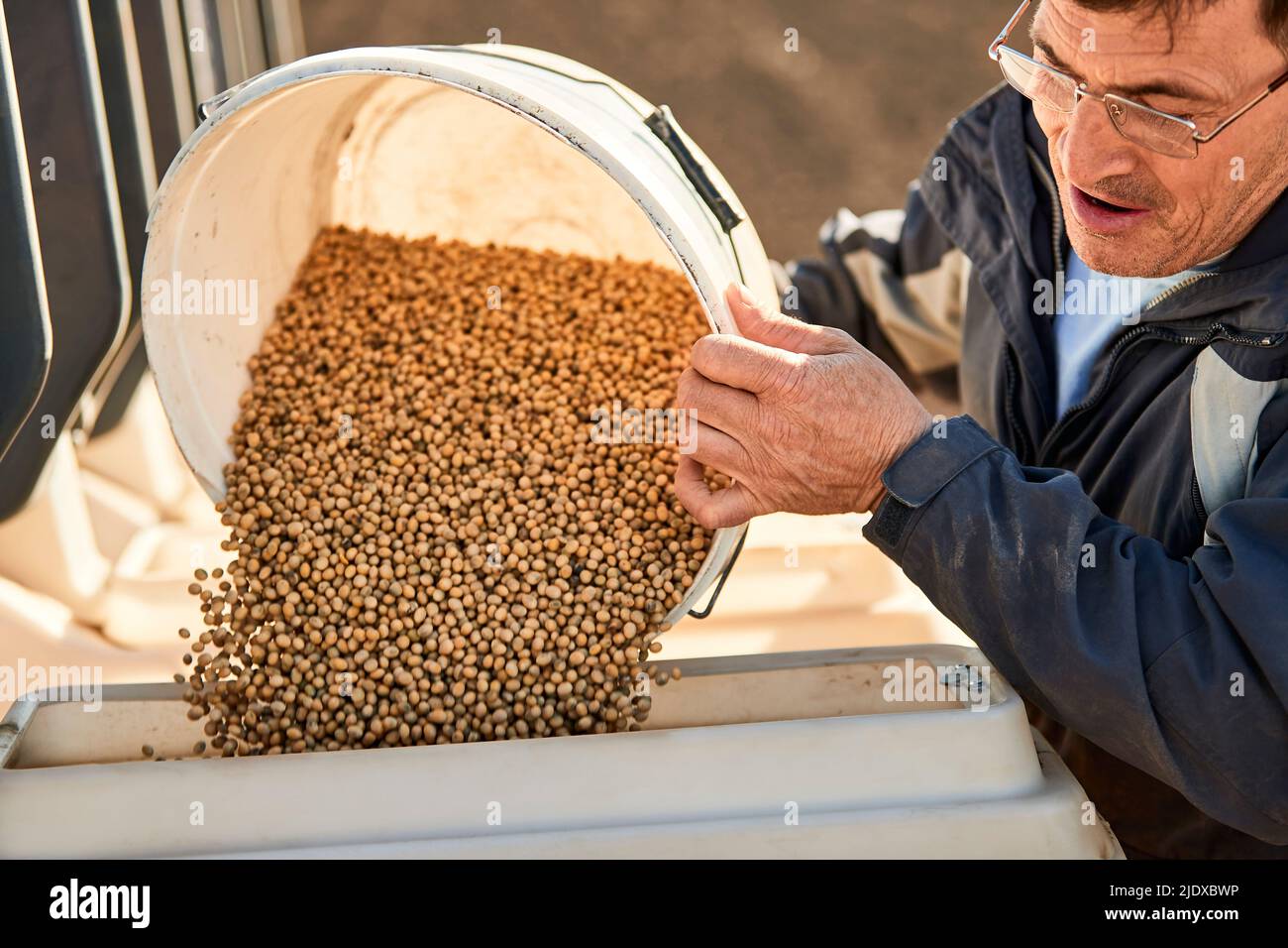 Farmer filling machine with soybean seeds at farm Stock Photo