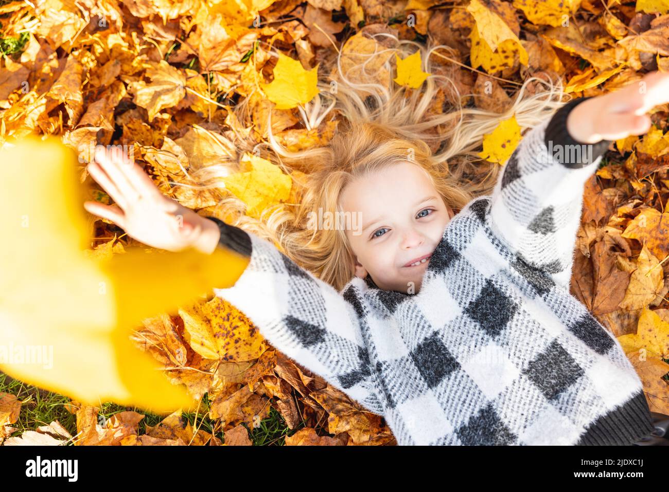 Playful girl lying on autumn leaves at park Stock Photo - Alamy