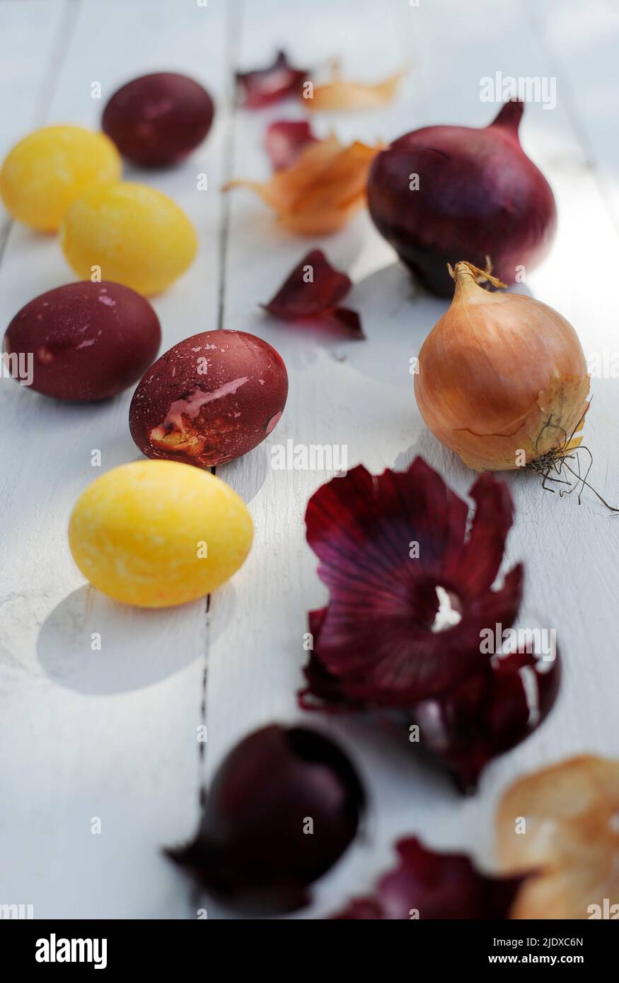 DIY Easter eggs naturally dyed with onion skins Stock Photo Alamy