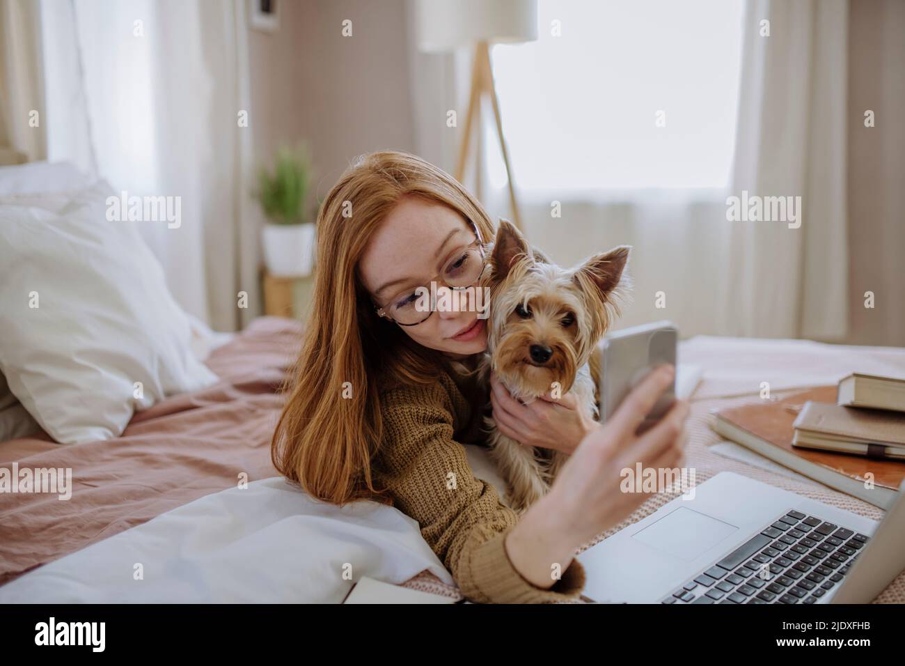 Smiling woman taking selfie with pet dog through smart phone lying on bed at home Stock Photo