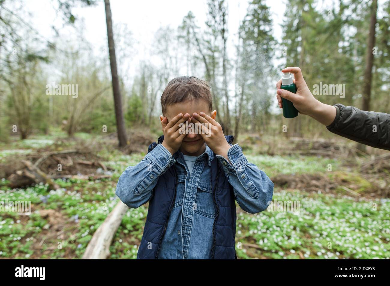 Mother spraying insect repellant on son covering eyes in forest Stock Photo Alamy