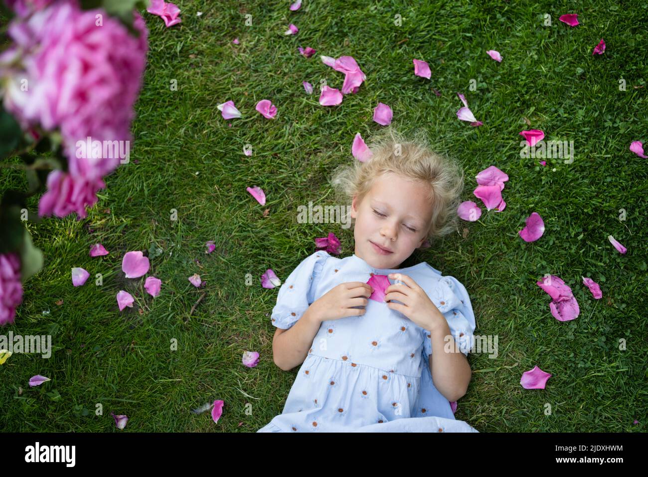 Girl with eyes closed holding a rose petal resting by lying on grass Stock Photo