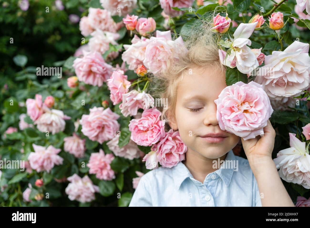 Girl holding rose flower in front of eye at rose garden Stock Photo