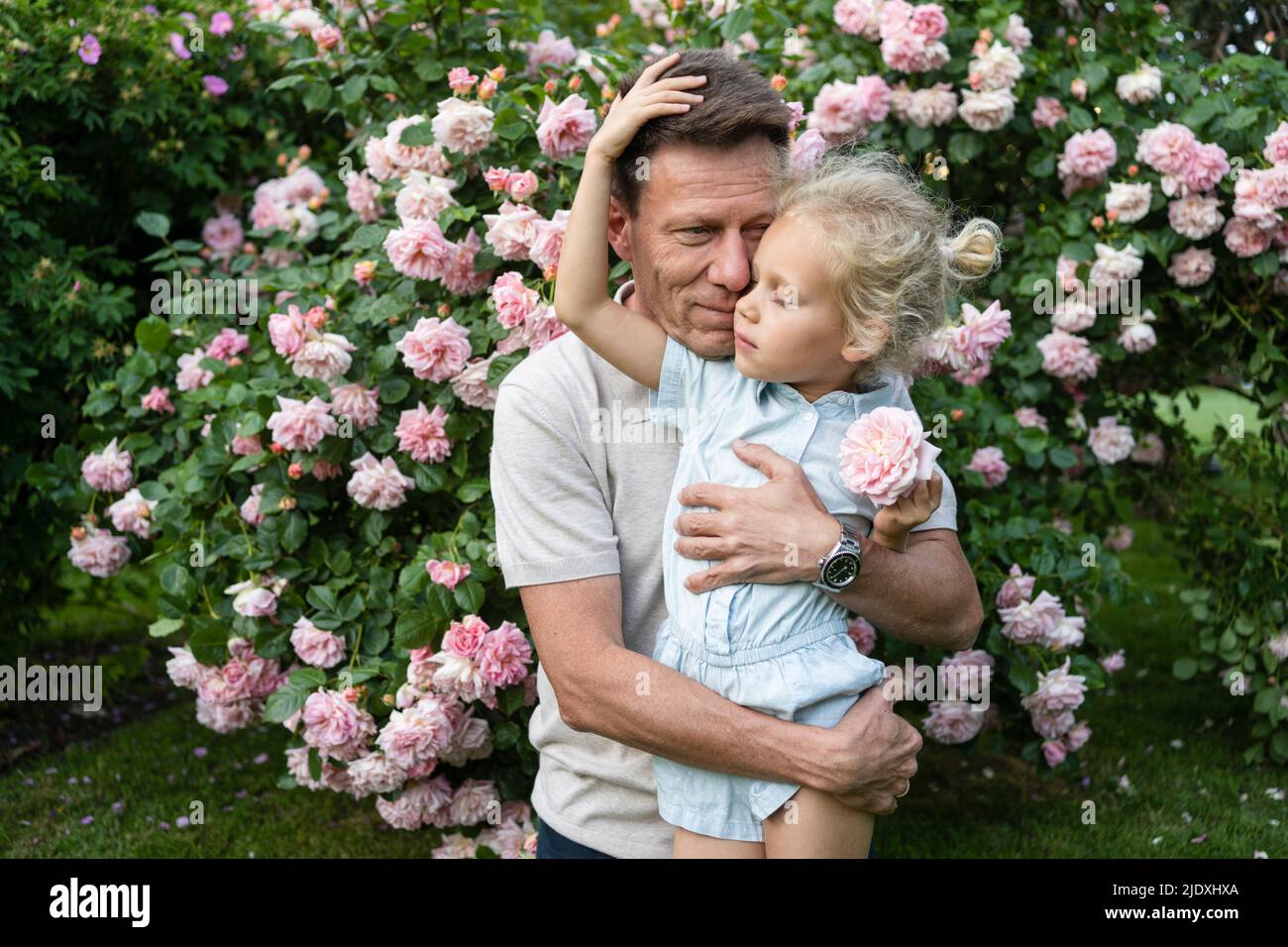 Loving father embracing daughter in front of pink roses at garden Stock
