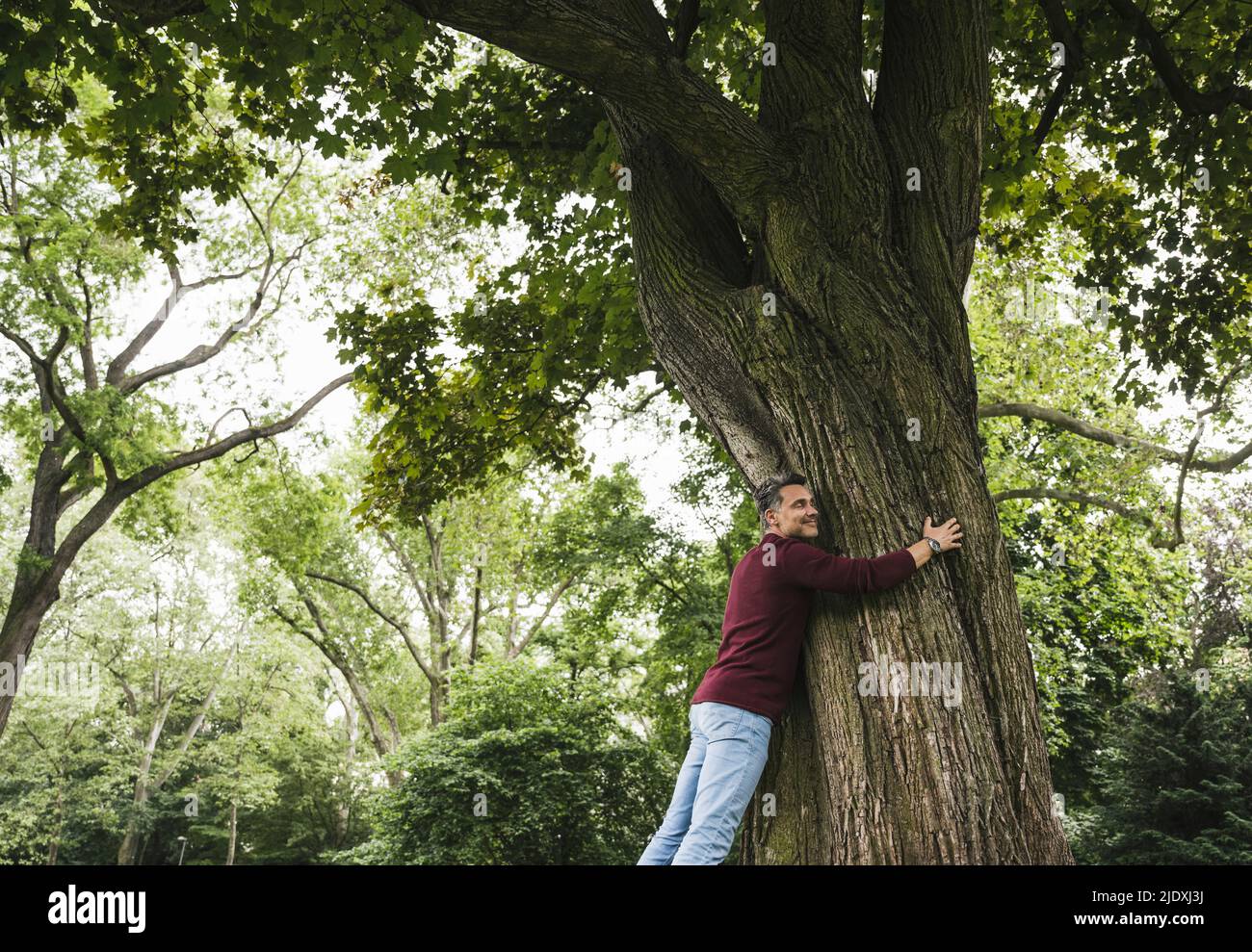Happy man hugging tree in park Stock Photo