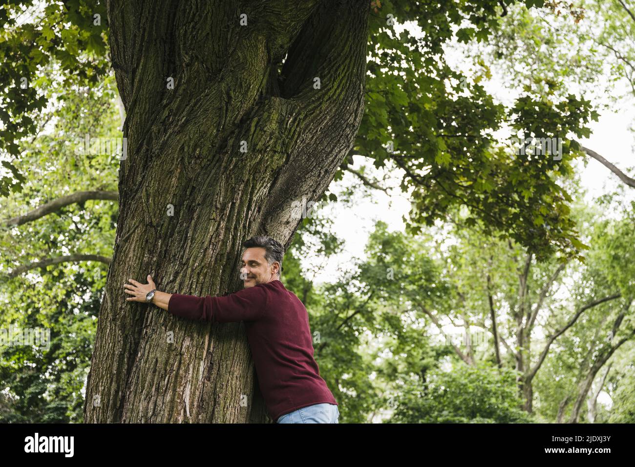 Smiling man hugging tree in park Stock Photo