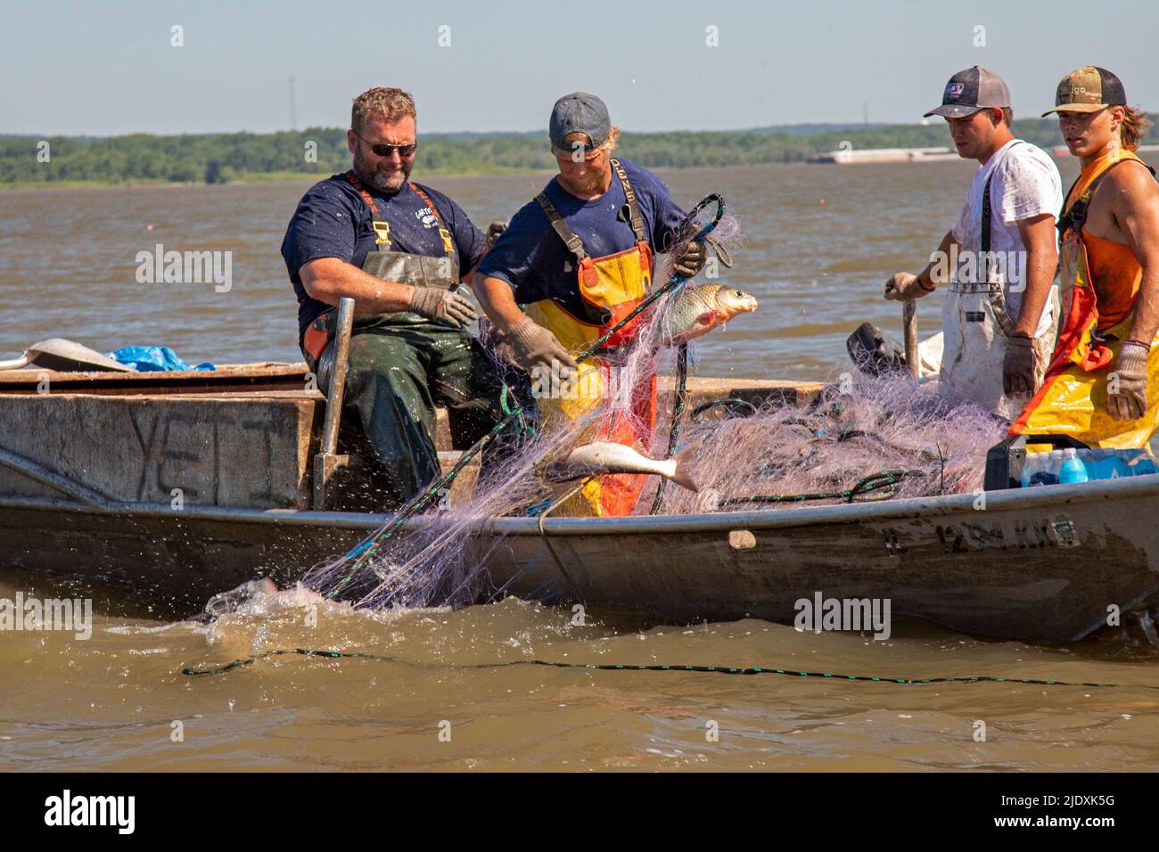 Peoria Illinois Fishermen On The Illinois River Use Gillnets To peoria-illinois-fishermen-on-the-illinois-river-use-gillnets-to