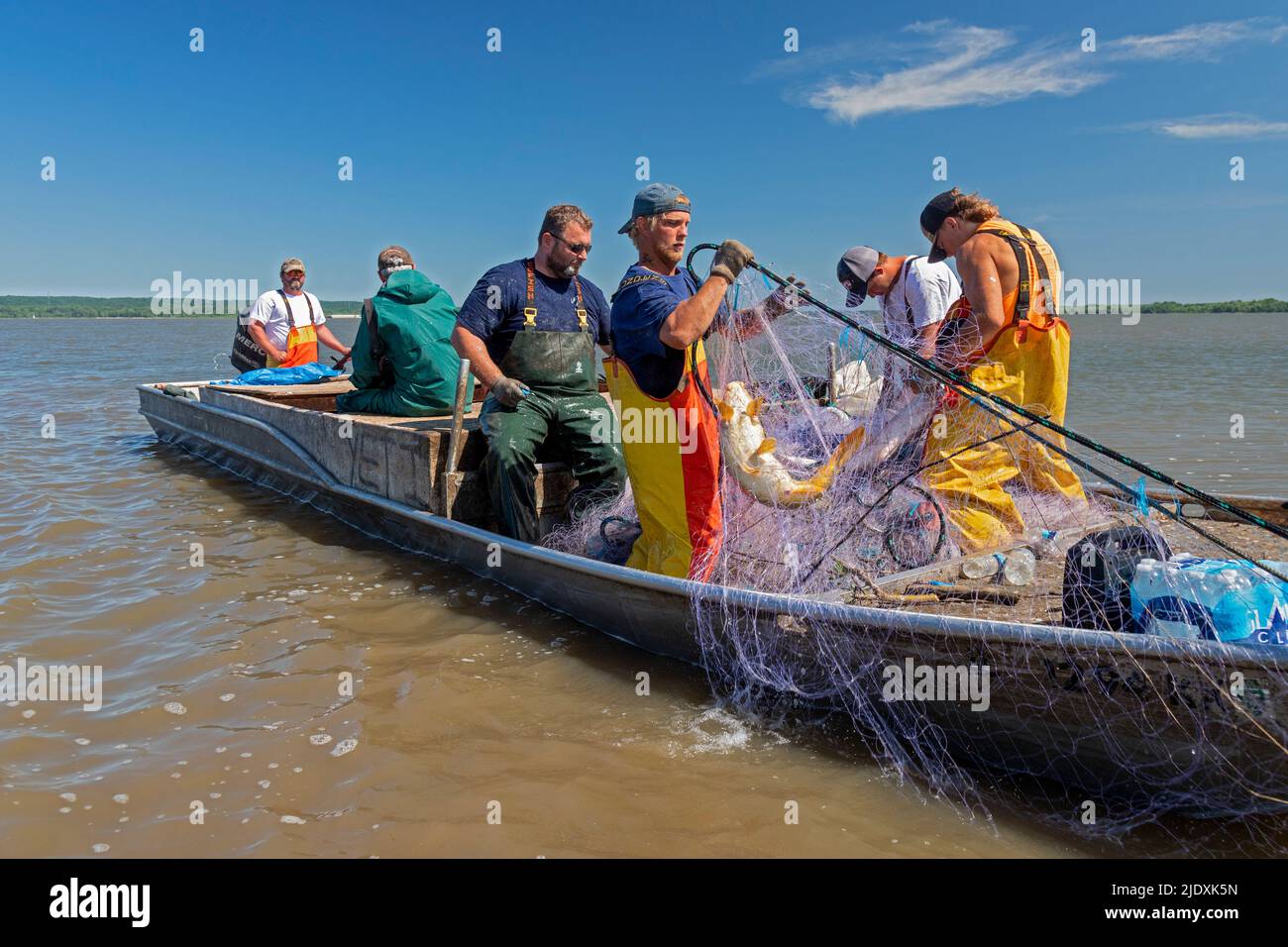 Peoria Illinois Fishermen On The Illinois River Use Gillnets To peoria-illinois-fishermen-on-the-illinois-river-use-gillnets-to