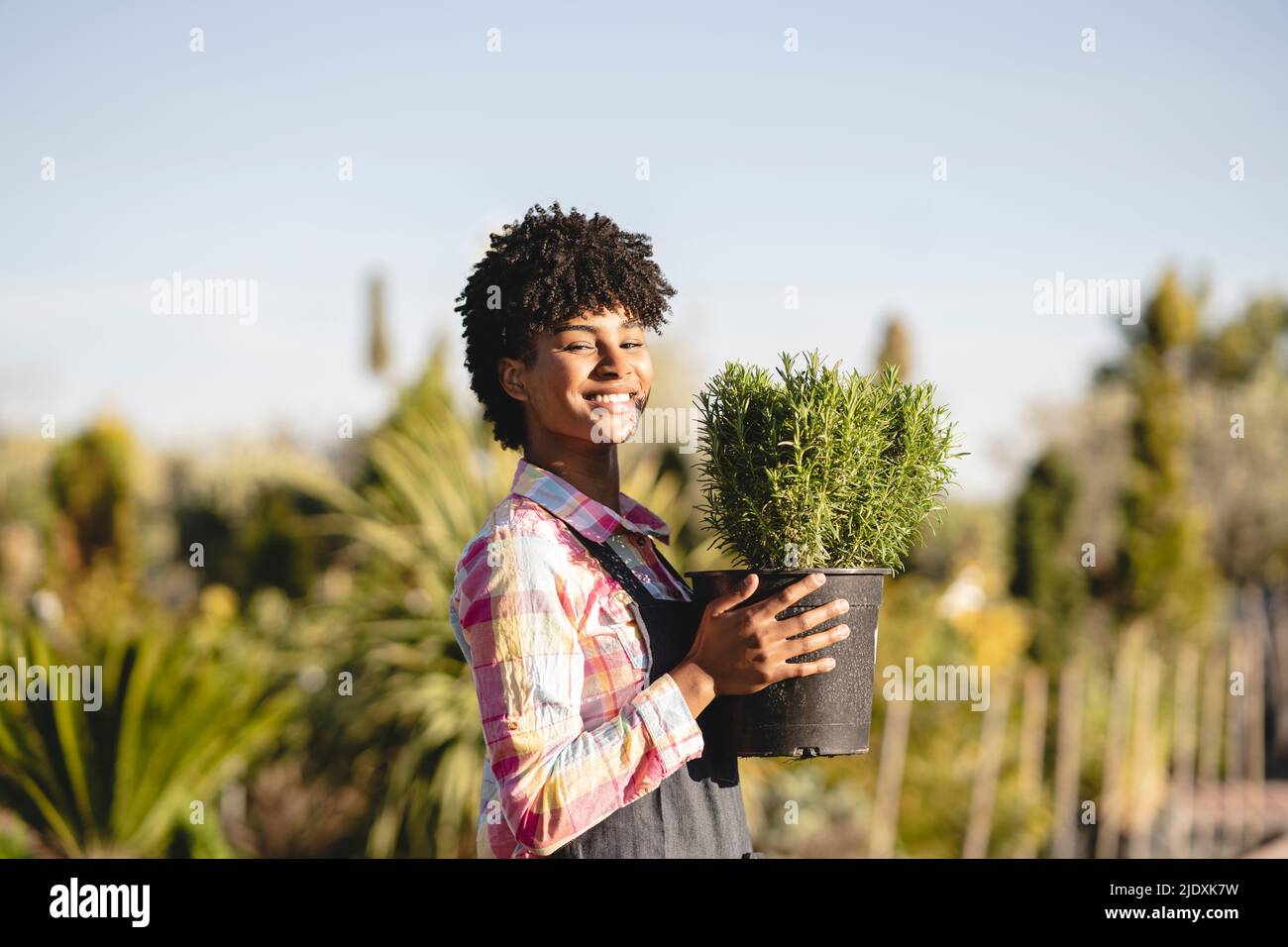 Confident gardener holding potted plant at nursery Stock Photo - Alamy