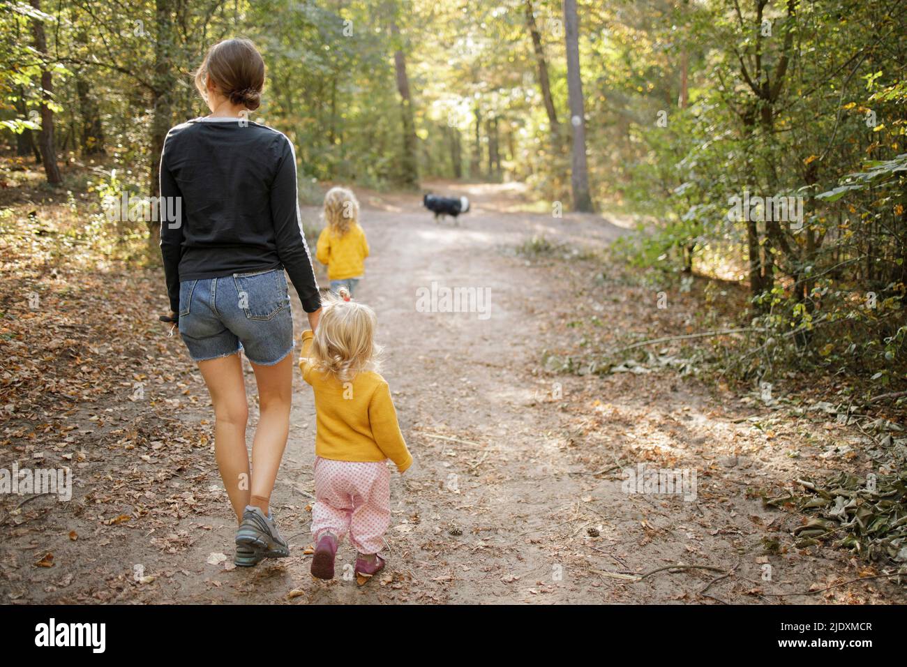 Mother with daughters walking on footpath in forest Stock Photo