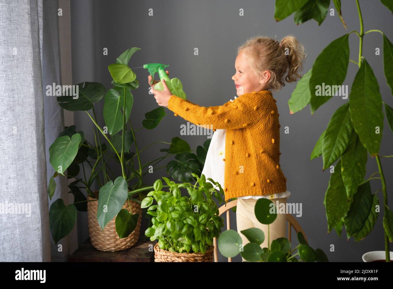 Spraying water on plants hires stock photography and images Alamy