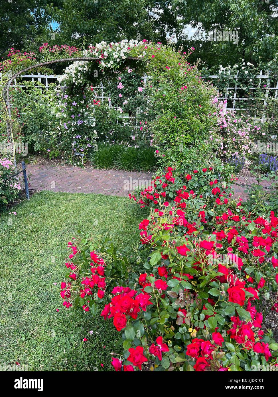 Cranford Rose Garden at the Brooklyn Botanic Garden in Brooklyn, New