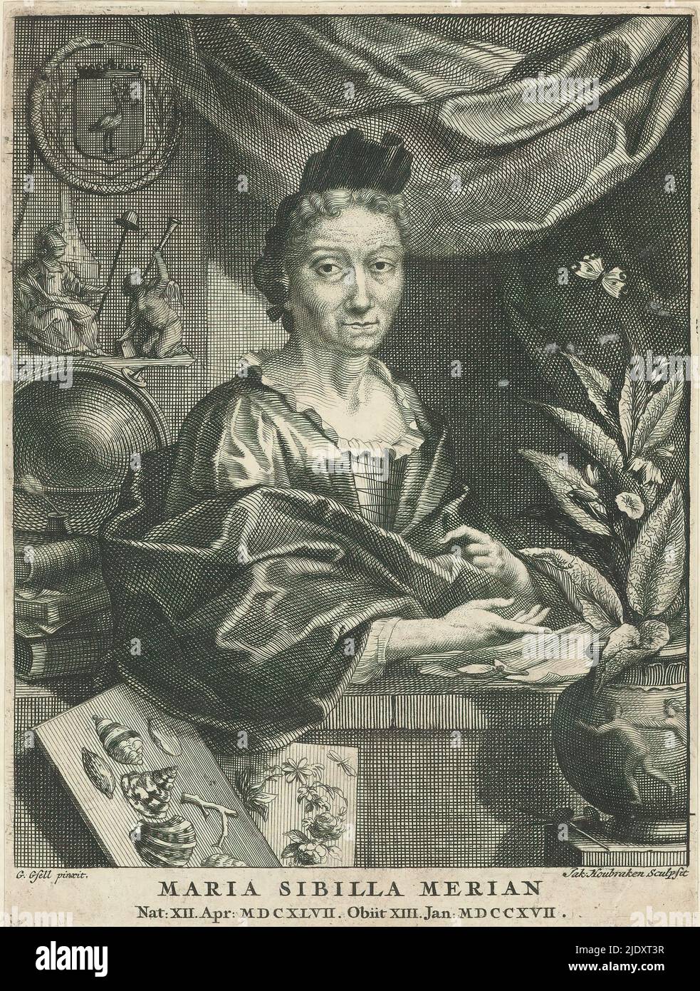 Portrait of Maria Sibylla Merian, Behind Maria Sibylla Merian a personification of the struggle with a tree of freedom (Dutch virgin). On the wall the coat of arms of The Hague. In the foreground shells and plants. Text in Latin in the lower margin. Print is part of an album., print maker: Jacob Houbraken, (mentioned on object), after painting by: Georg Gsell, (mentioned on object), 1708 - 1780, paper, etching, engraving, height 165 mm × width 124 mm Stock Photo