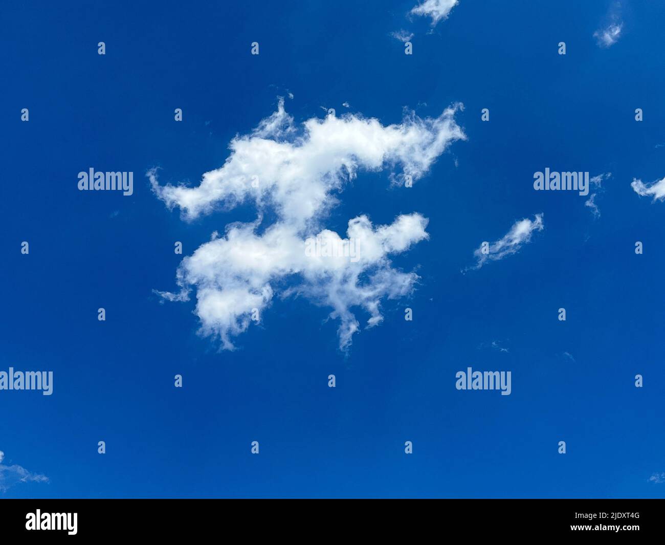 Cloud animals in tghe blue sky. Stock Photo