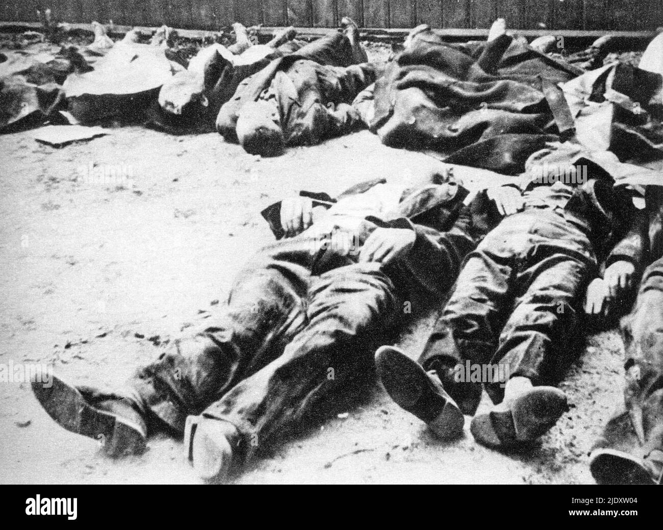 Polish civilians murdered in the Wola massacre by the Dirlewanger Brigade, Warsaw, August 1944. This unit of the SS was led by Oskar Dirlewanger and was composed of convicted criminals. Even among the SS he was considered as particularly barbaric. The brigade assisted in the execuion of around 100,000 Polish residents of Warsaw, most notably in the appalling violence inflicted in the Wola Massacre. Stock Photo