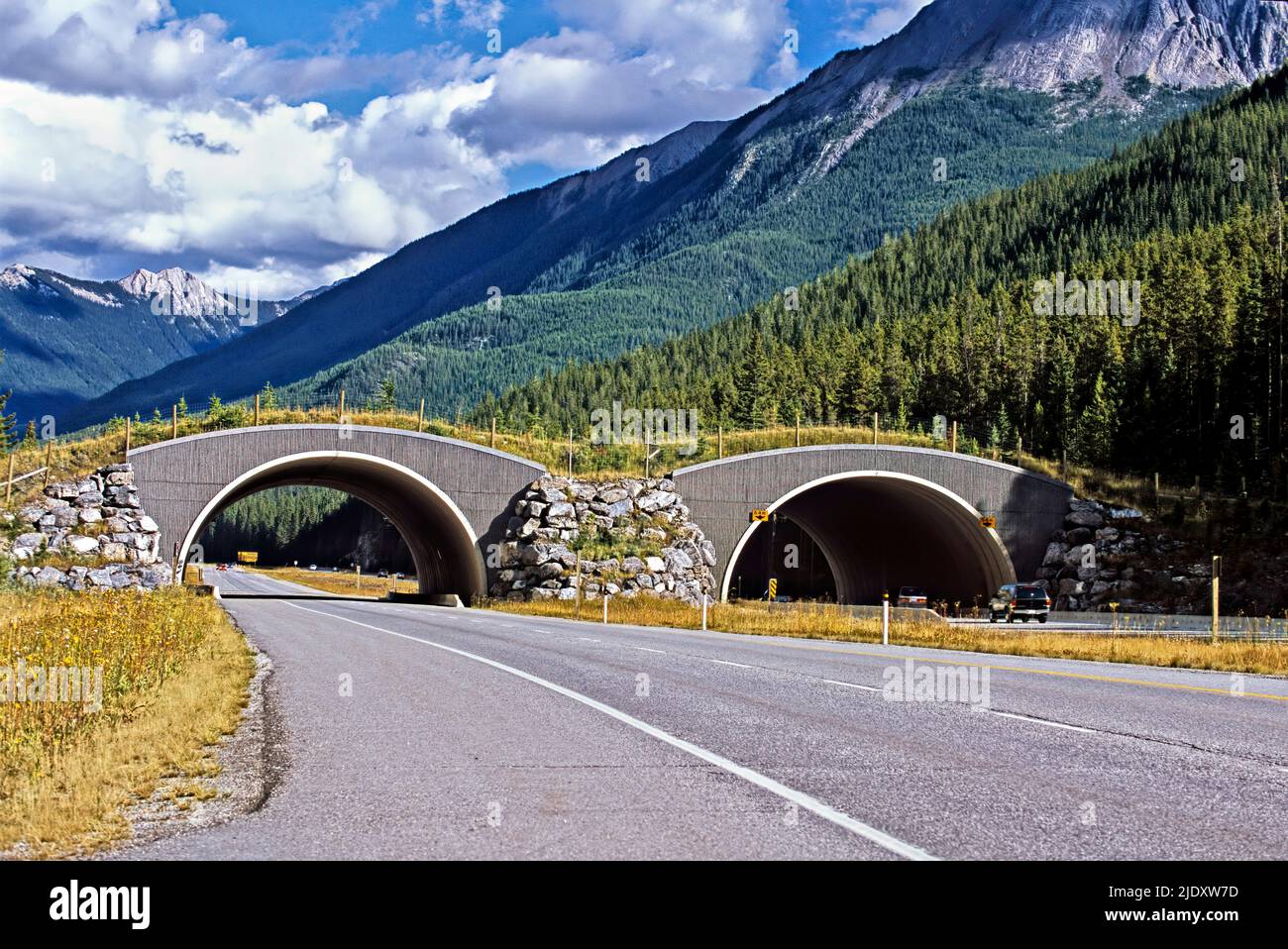 A wildlife overpass crossing the Trans Canada highway near Banff Alberta Canada Stock Photo