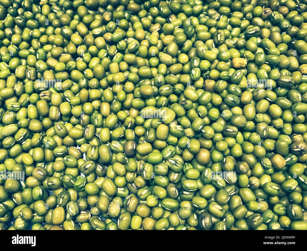 Green beans nature background Stock Photo Alamy
