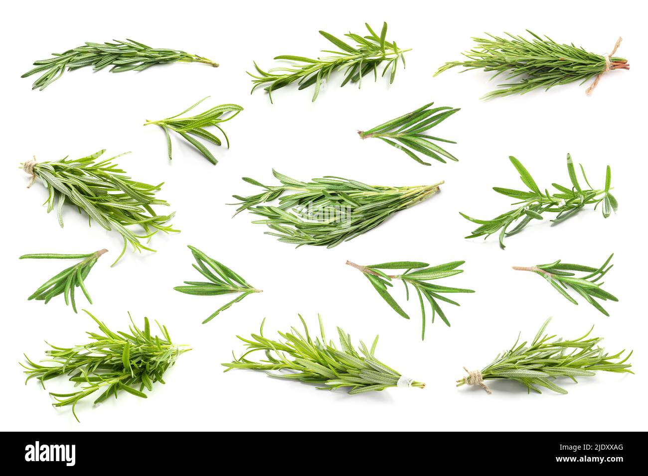Set of fresh rosemary on white background Stock Photo - Alamy