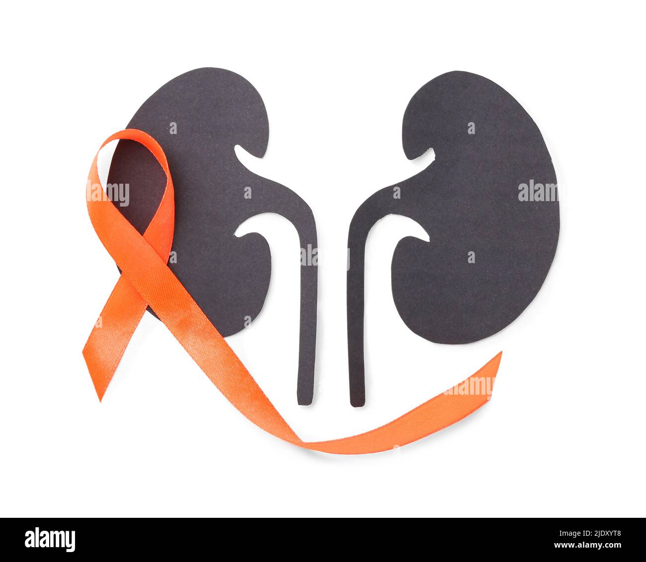 Orange awareness ribbon and paper kidneys on white background Stock