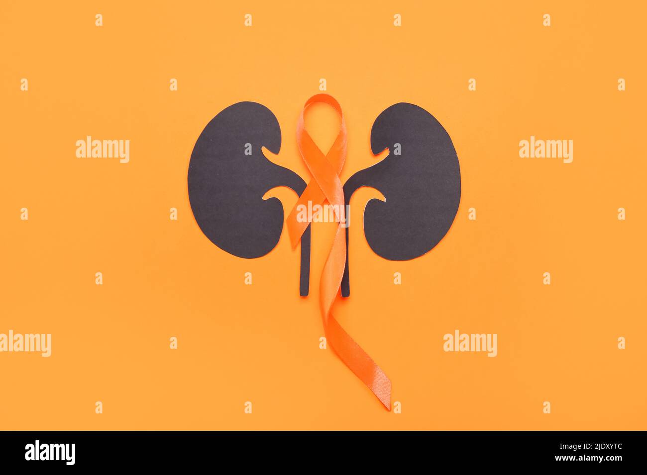 Awareness ribbon and paper kidneys on orange background Stock Photo
