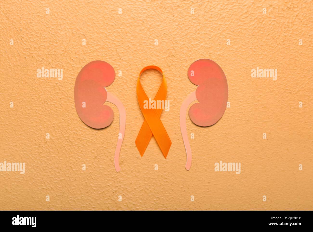 Orange awareness ribbon and paper kidneys on beige background Stock