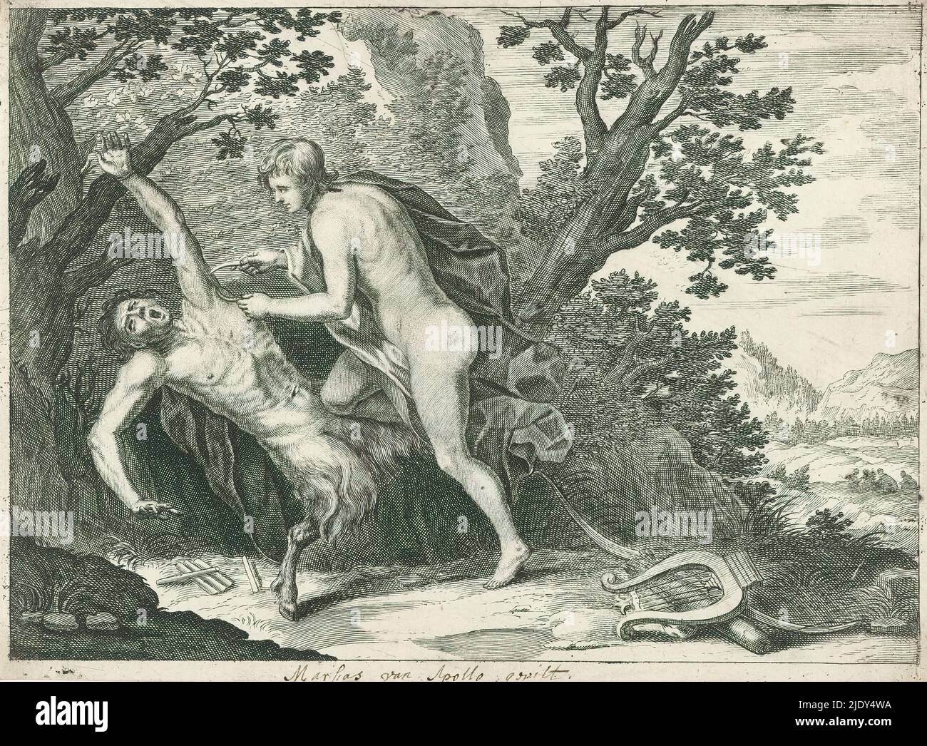 Apollo skins hi-res stock photography and images - Alamy