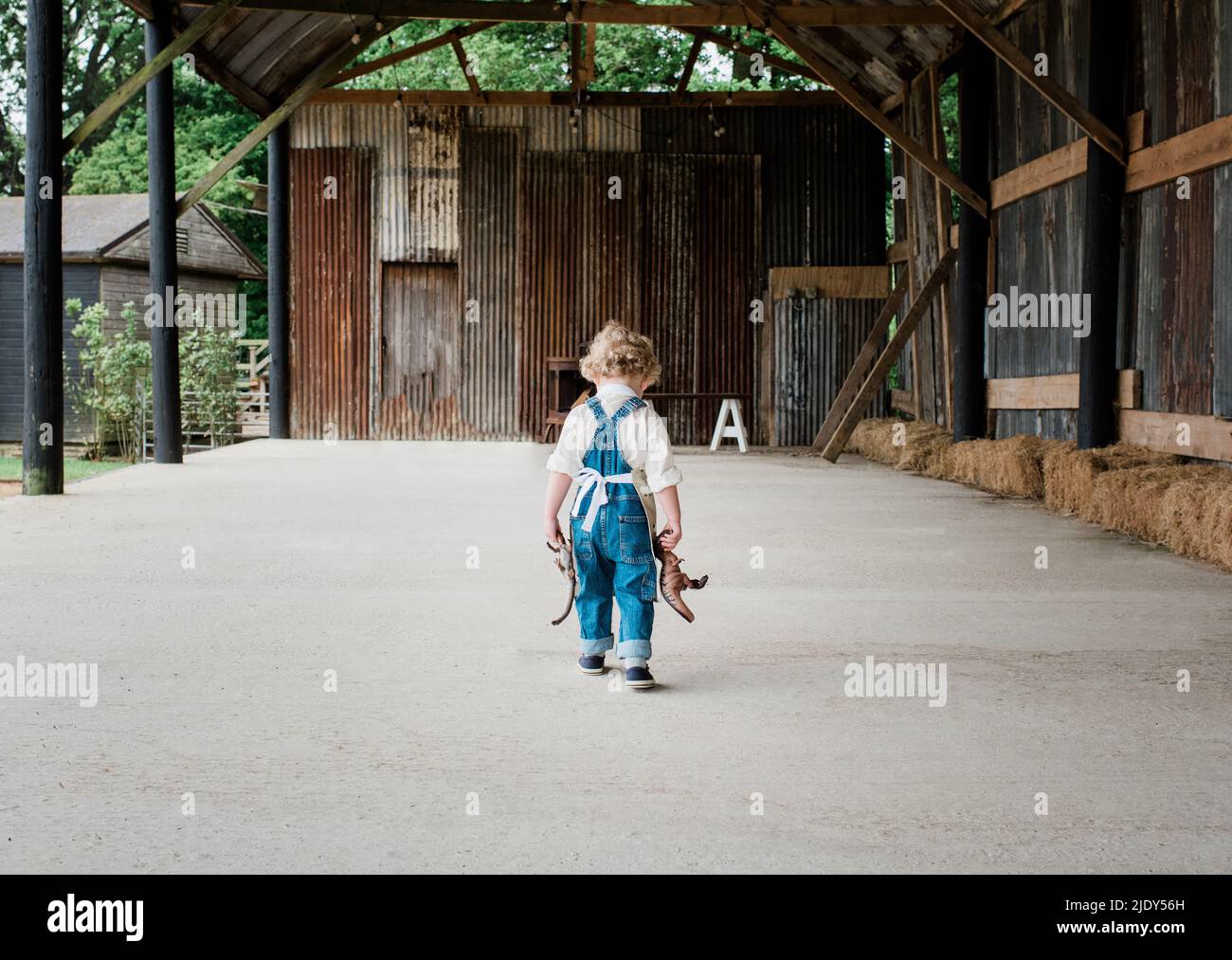child in dungarees walking across a barn holding his toy dinosaurs ...