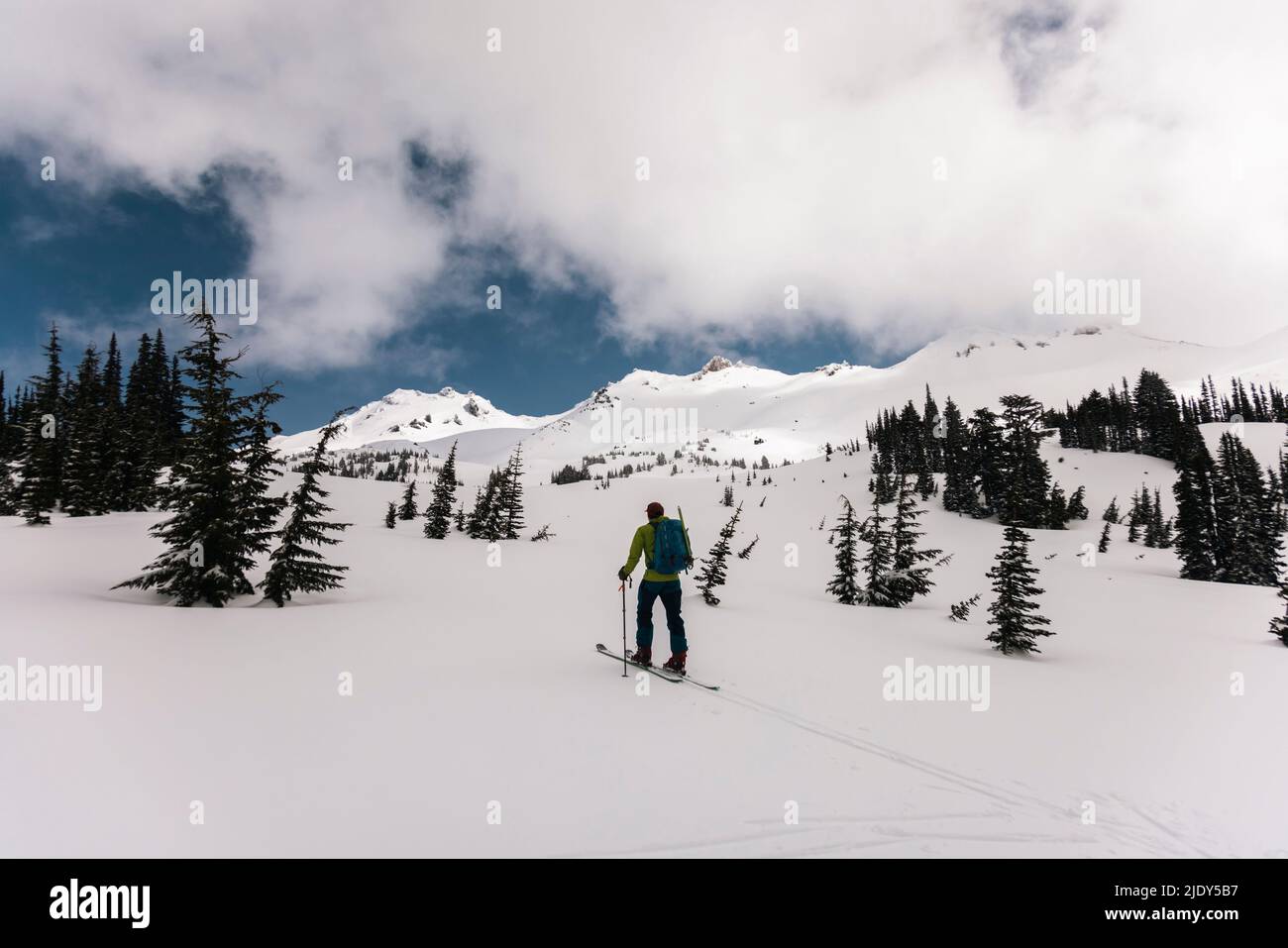 A man skis in Goat Rocks Wilderness in Washington State Stock Photo - Alamy