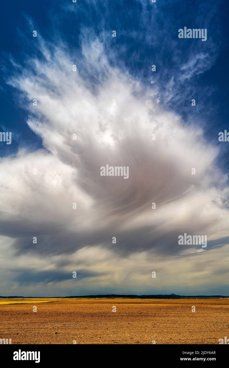 Cumulonimbus cloud developing in a summer afternoon Stock Photo