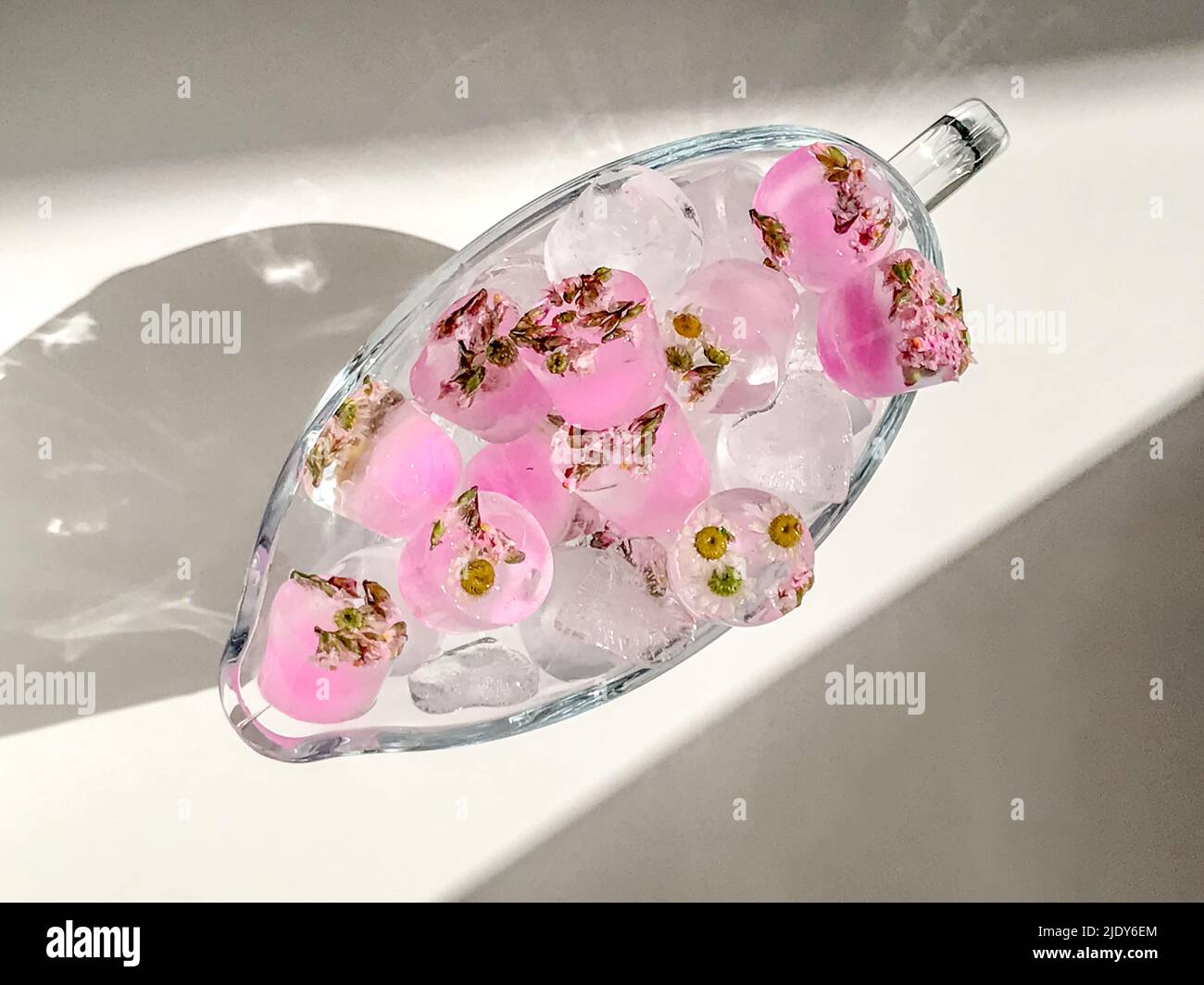 Vase with sumeer flower ice cubes Stock Photo