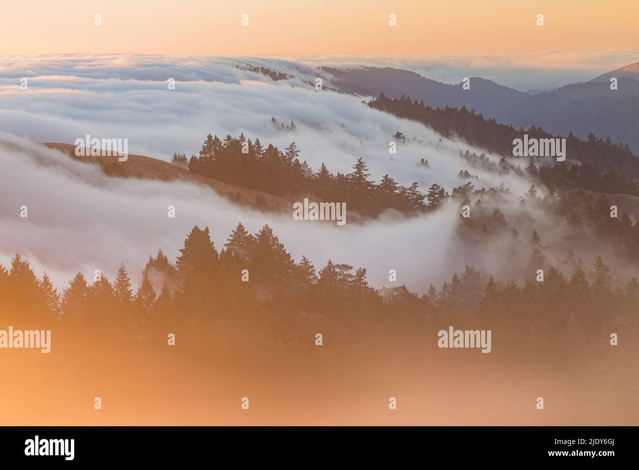 Mount Tamalpais Marin County California Fog Stock Photo