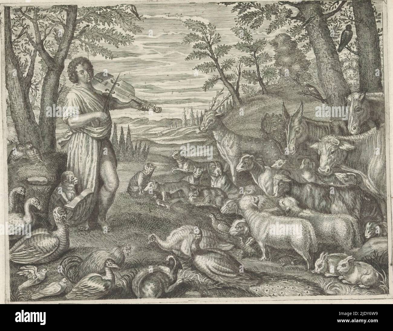 Orpheus enchants the animals with his music, Metamorphoses of Ovid (series title), Orpheus stands under a tree and plays his lira da braccio. Several animals sit around him and listen to his playing., print maker: Crispijn van de Passe (II), after painting by: Leandro Bassano, publisher: Crispijn van de Passe (II), (attributed to), Venice, c. 1636 - 1670, paper, engraving, height 167 mm × width 216 mm Stock Photo