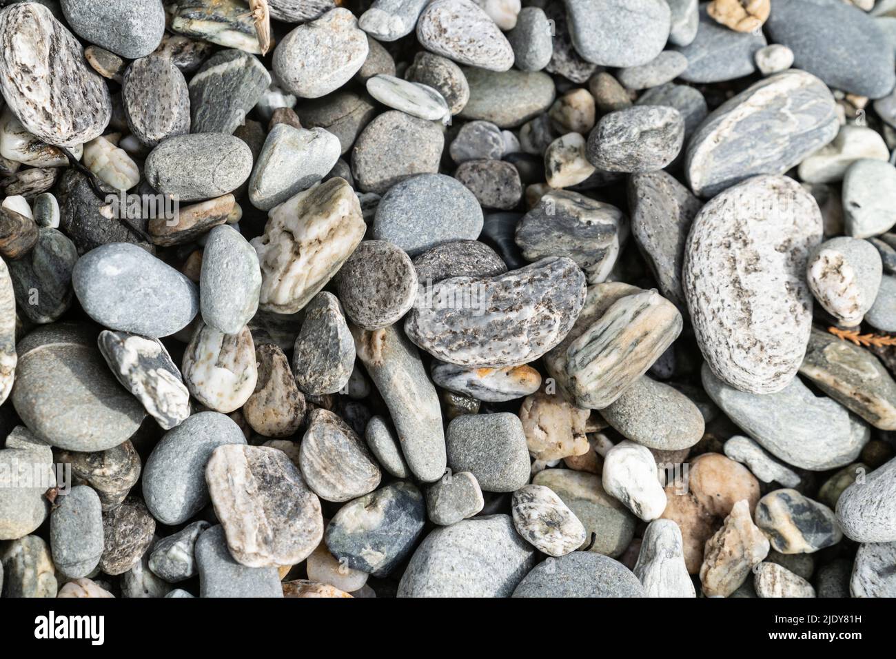 Shiny wet river stones on Westland beach South Island New Zealand. Stock Photo