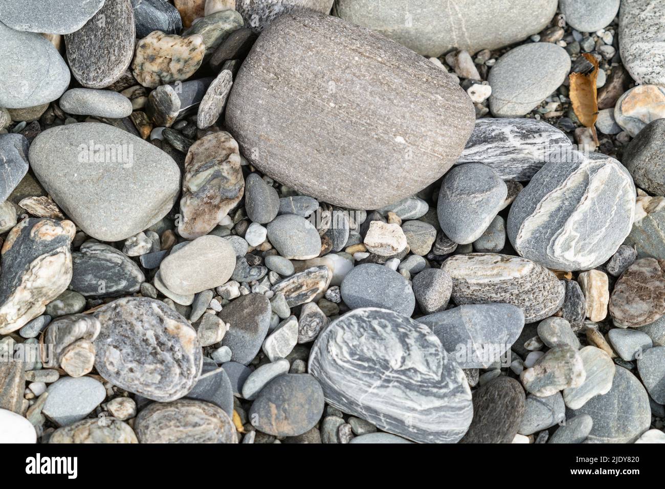 Shiny wet river stones on Westland beach South Island New Zealand. Stock Photo