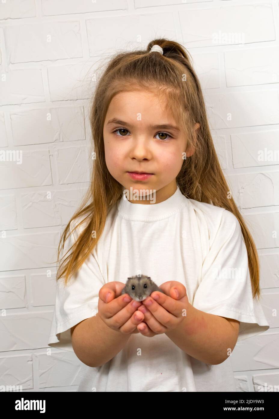 Child playing hamster hires stock photography and images Alamy