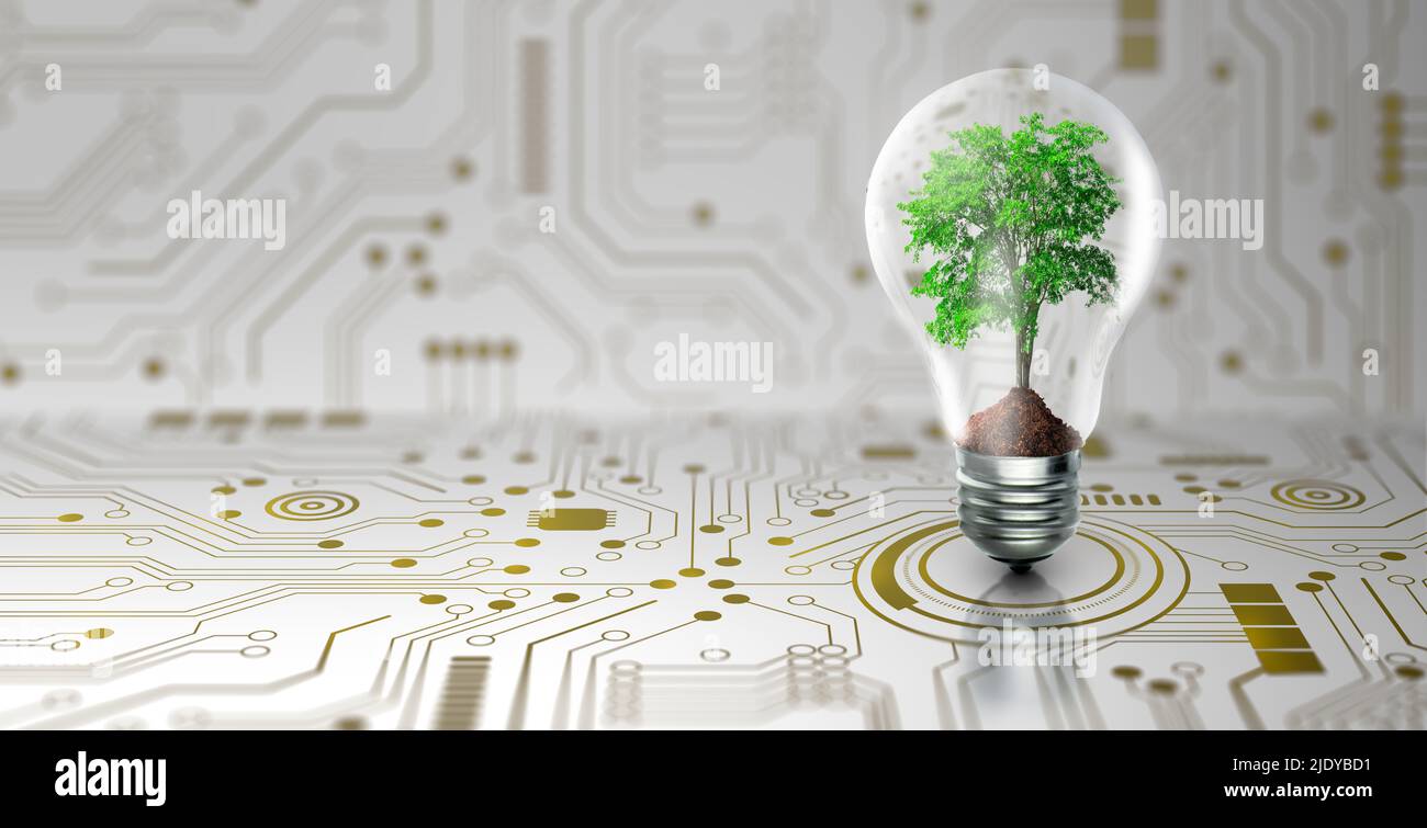 Tree with soil growing on Light bulb. Digital Convergence and and Technology Convergence. Blue light and network background. Green Computing, IT. Stock Photo