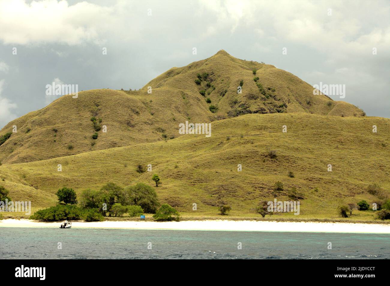 Landscape of a sandy beach popularly called Pink Beach due to its pinkish sands and a hill covered with savanna vegetation in Komodo Island within the area of Komodo National Park in Komodo, West Manggarai, East Nusa Tenggara, Indonesia. This beach could be among the half of sandy beaches in the world that could disappear by the end of century if climate change continues unmitigated, as reported by climate scientists in their March 2020 publication on Nature Climate Change. Stock Photo