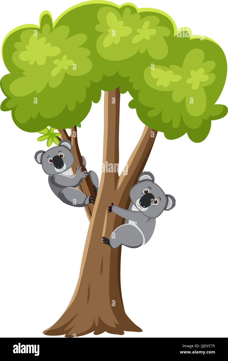 Koalas on tree cartoon character illustration Stock Vector Image & Art Alamy
