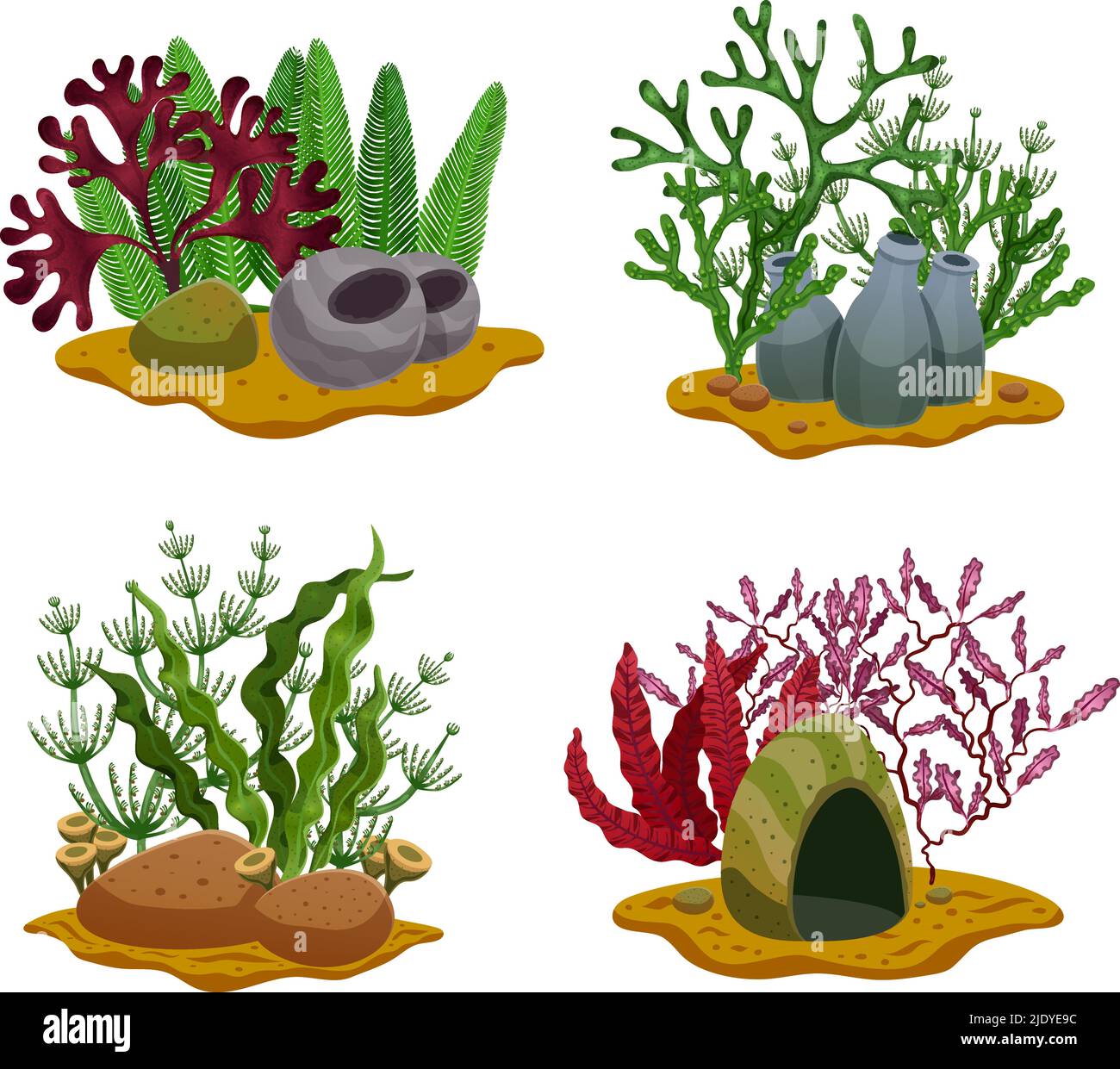 Seaweeds 4 flat underwater colorful decorative elements set with different algae types stones lighting isolated vector illustration Stock Vector