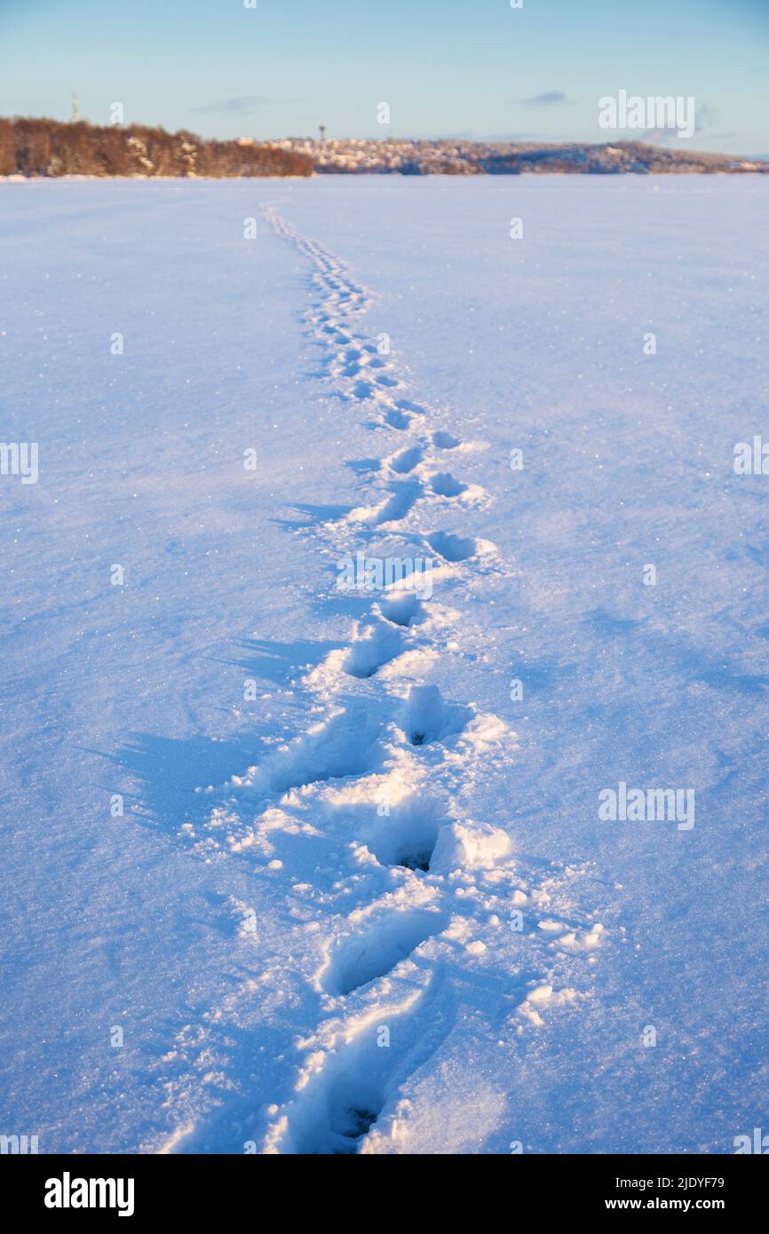 Footsteps on snow. View of footsteps on a frozen and snowy lake and city of Tampere in the background in Finland on a sunny day in the winter. Stock Photo