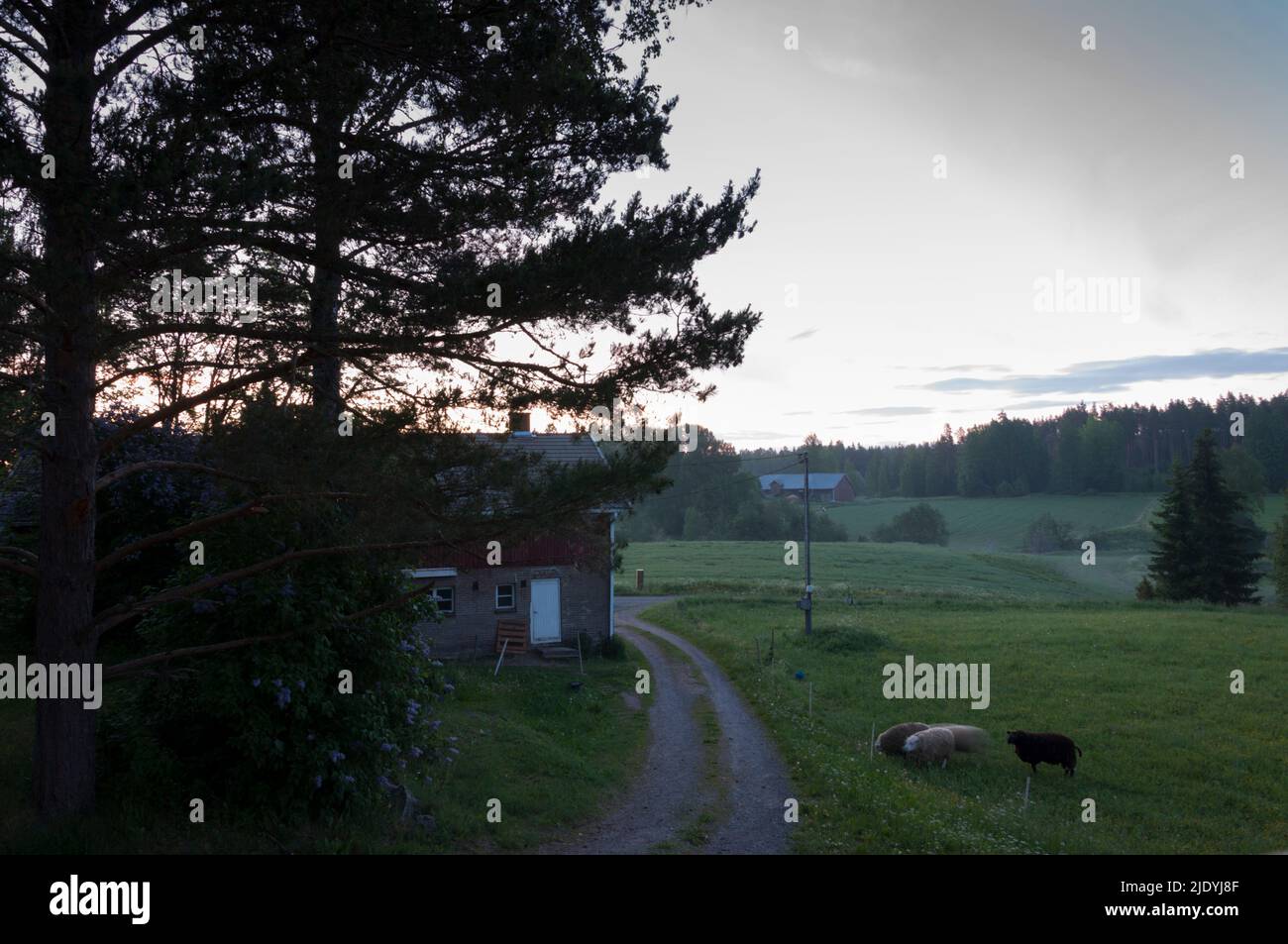 3.30 AM 15th June 2022 Stock Photo