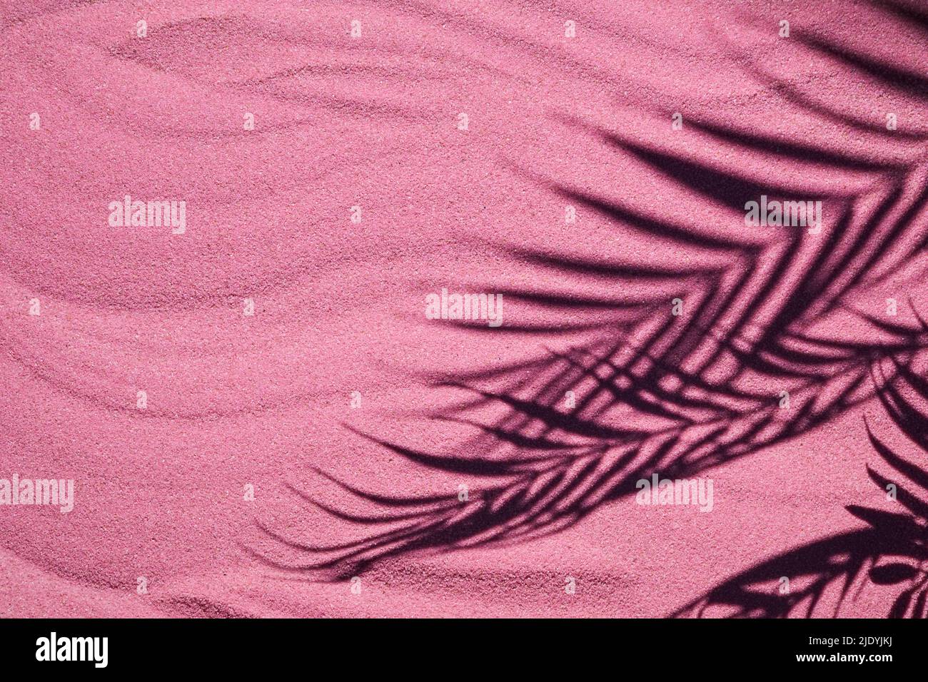 Pink sand texture. Sandy beach with palm shadow for product background ...