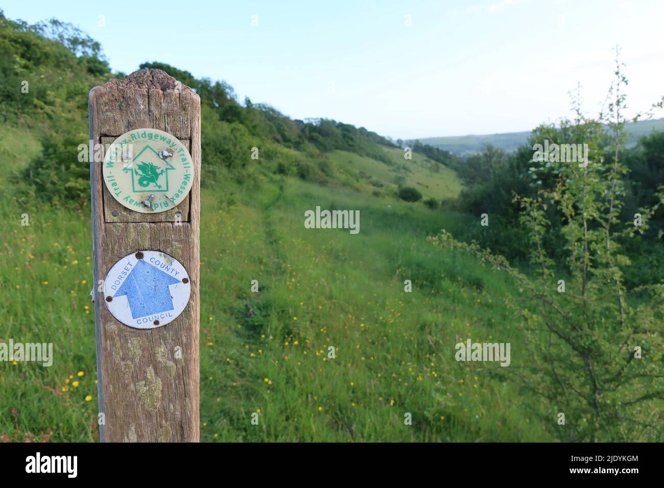 Wessex ridgeway. Wiltshire. Dorset. West Country. South West. England ...