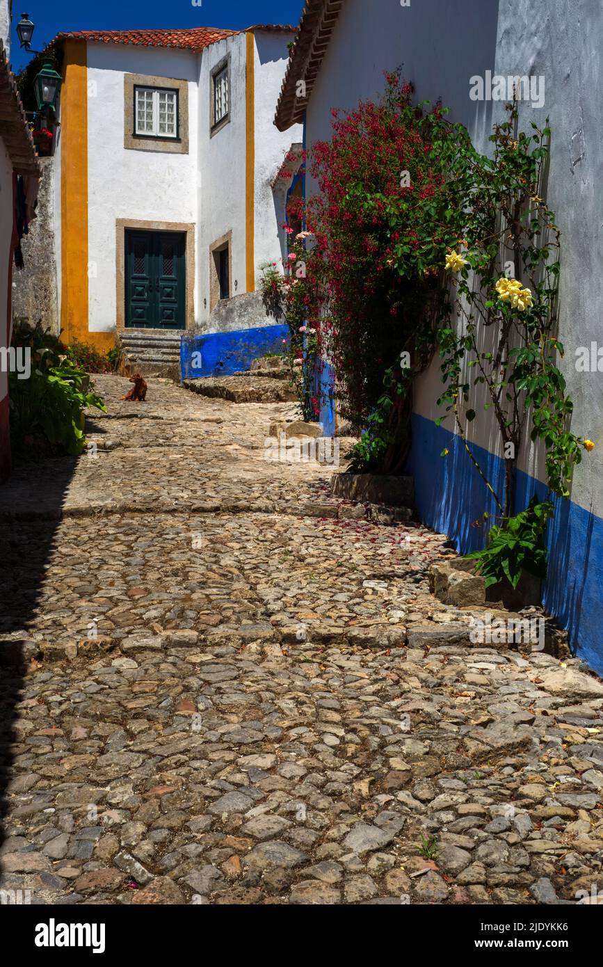 Gently stepped cobbled street in the historic medieval walled town