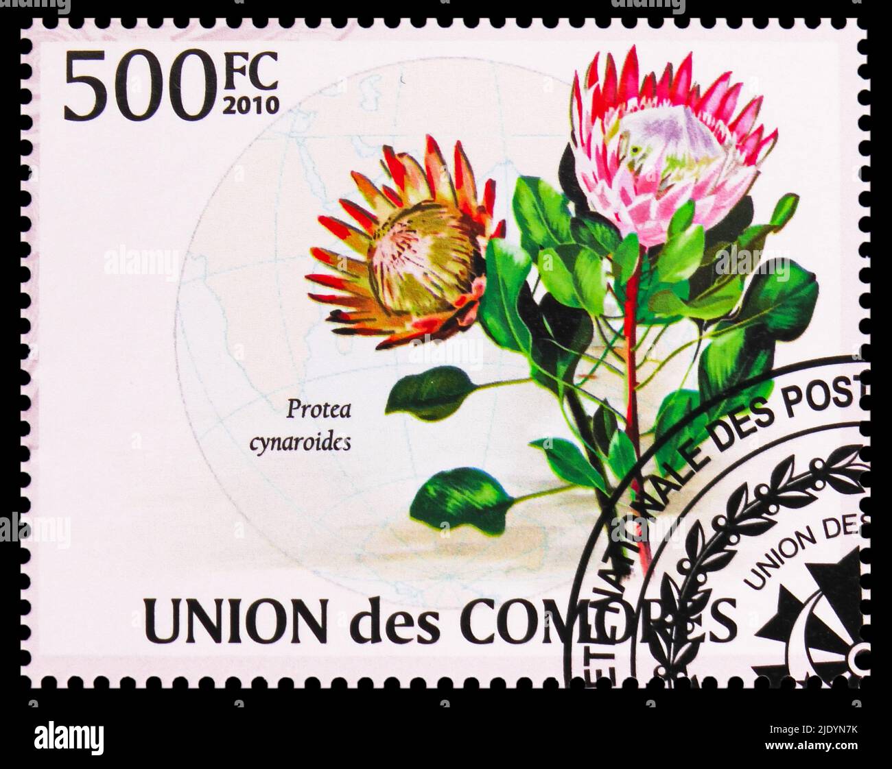 MOSCOW, RUSSIA - JUNE 17, 2022: Postage stamp printed in Comoros shows Protea cynaroides, Flora of the Indian Ocean Region serie, circa 2009 Stock Photo