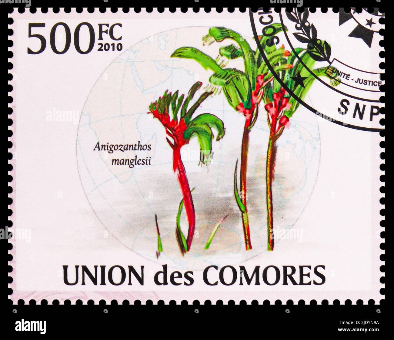 MOSCOW, RUSSIA - JUNE 17, 2022: Postage stamp printed in Comoros shows Anigozanthos manglesii, Flora of the Indian Ocean Region serie, circa 2009 Stock Photo