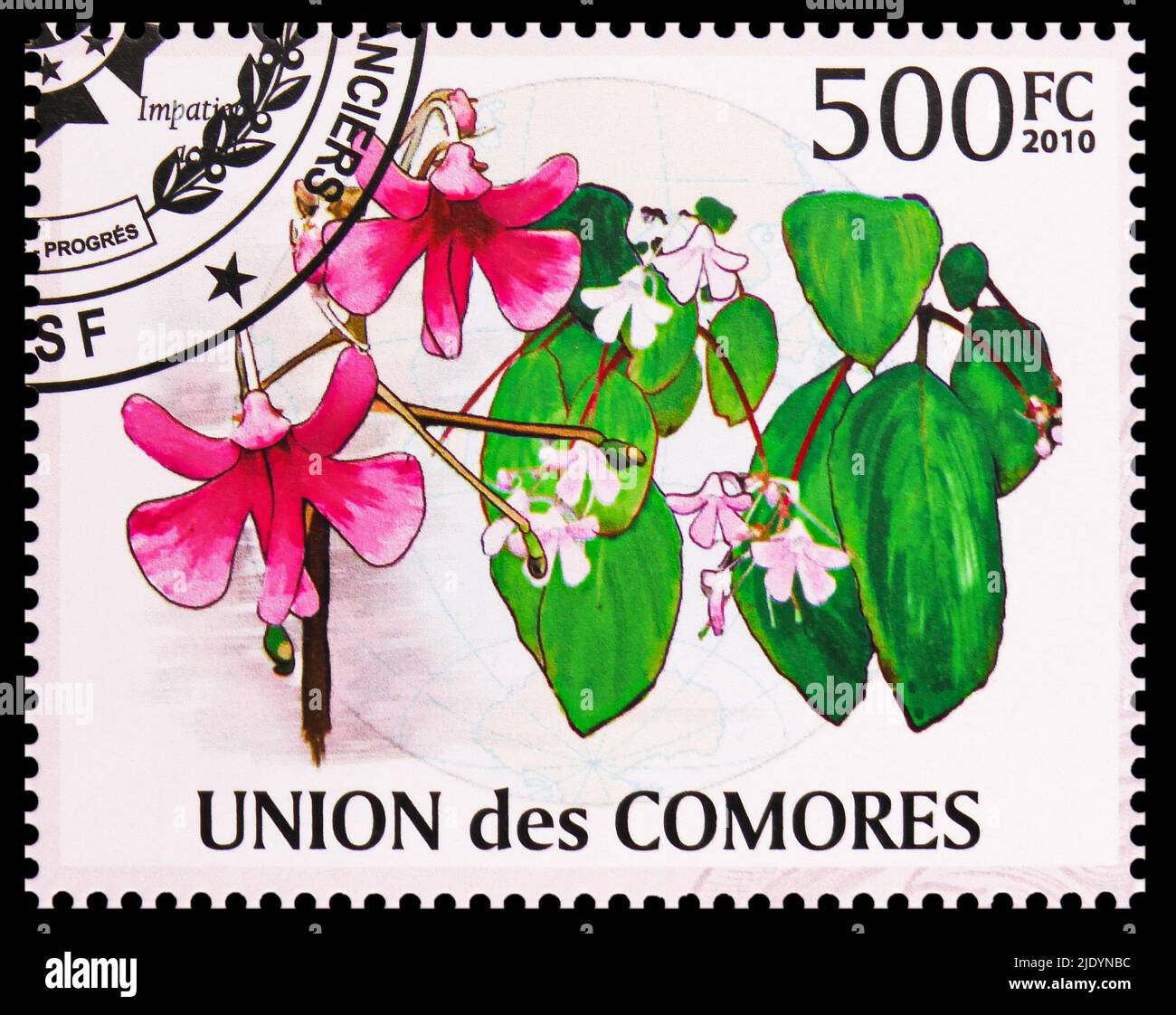 MOSCOW, RUSSIA - JUNE 17, 2022: Postage stamp printed in Comoros shows Impatiens acaulis, Flora of the Indian Ocean Region serie, circa 2009 Stock Photo