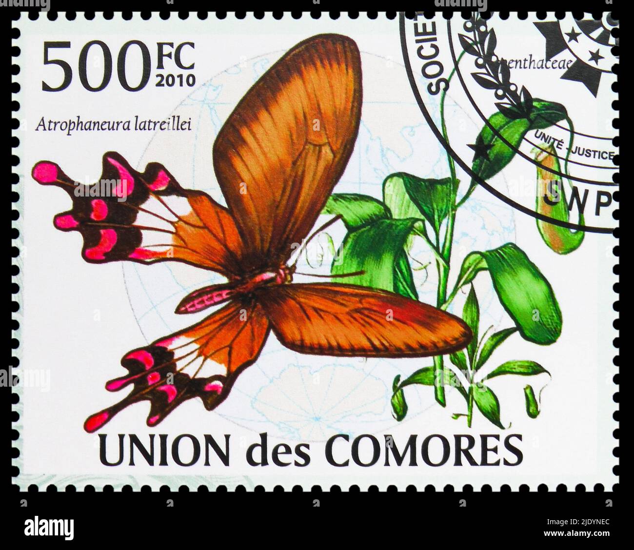 Atrophaneura latreillei hires stock photography and images Alamy